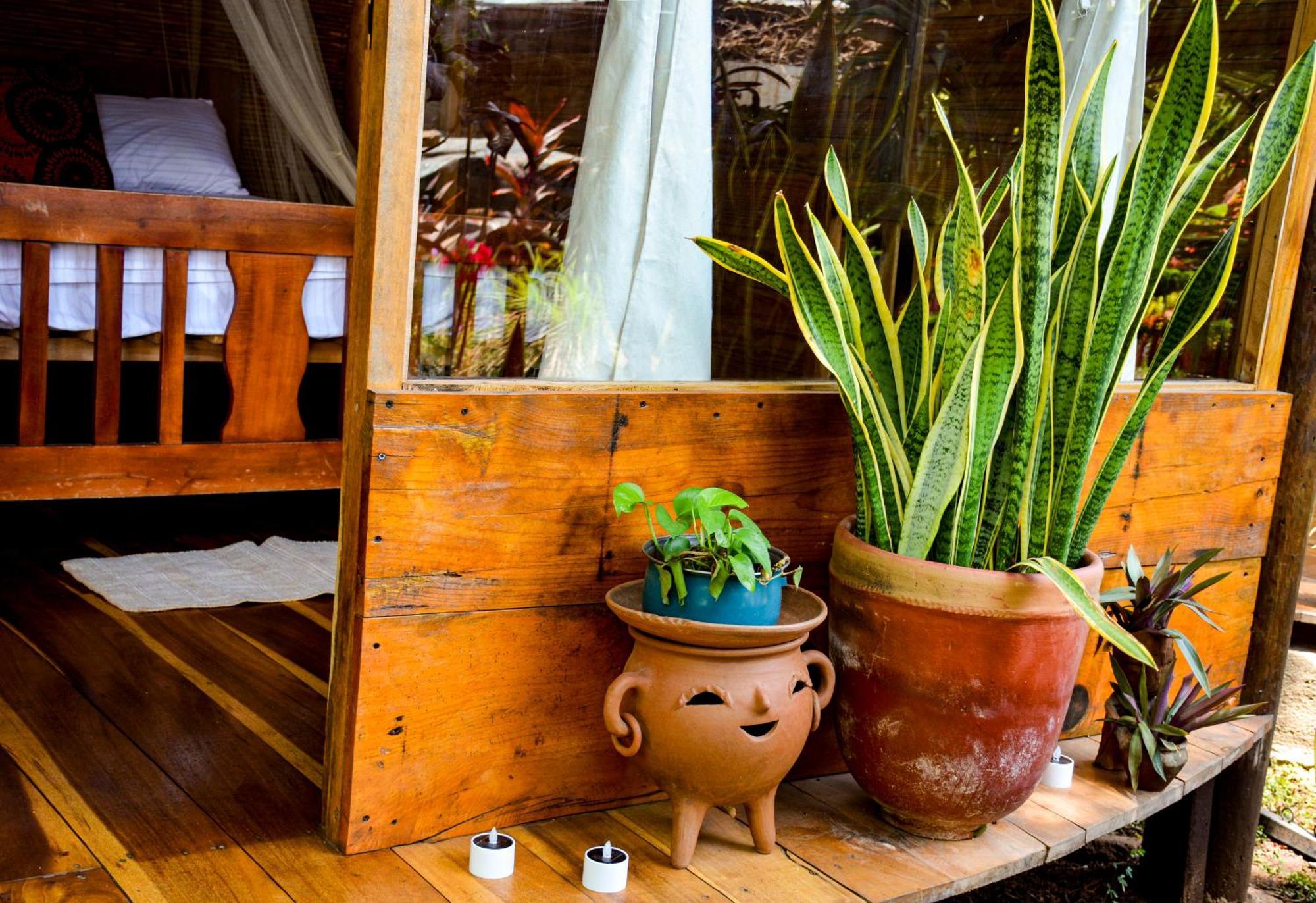 Casa Caracola Hotel Гранада Екстериор снимка